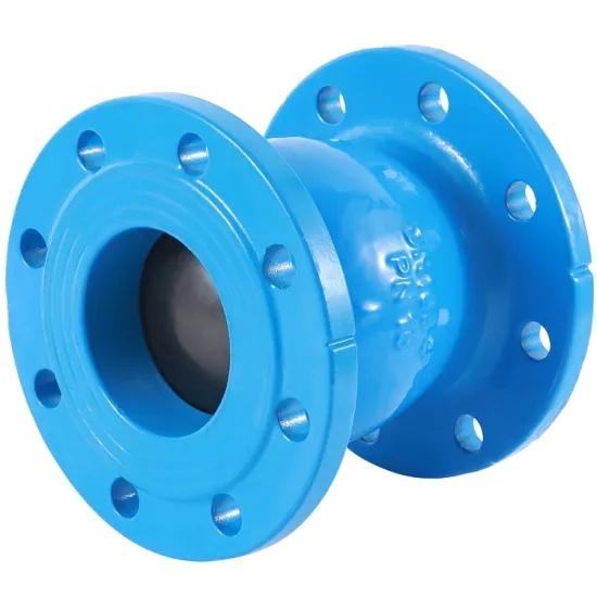 check valve for water pump