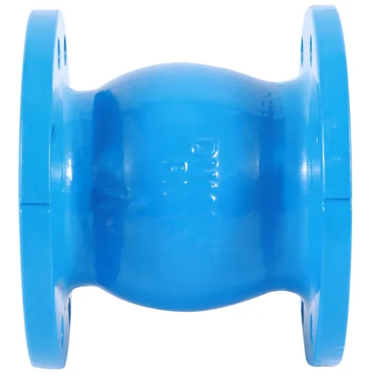check valve for water pump