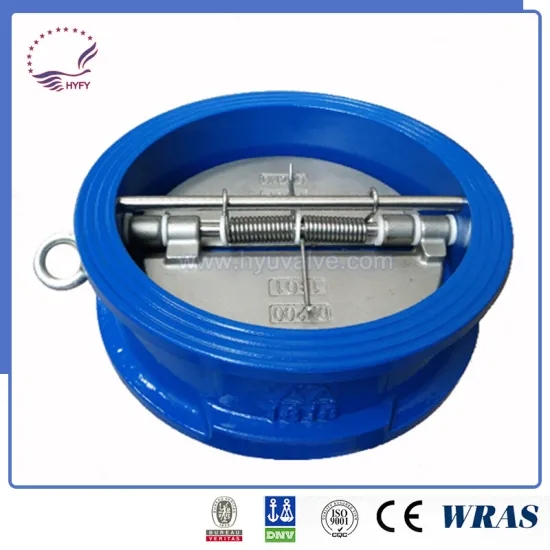 spring check valve